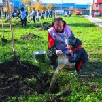 ТМК выступила партнером Всероссийской акции «Сохраним лес»