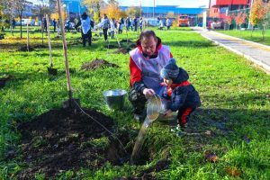 ТМК выступила партнером Всероссийской акции «Сохраним лес»