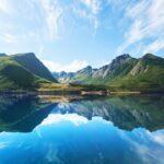 "Народный фронт" соберет незаконный мусор.