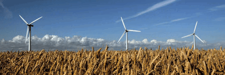 Экономика и экология