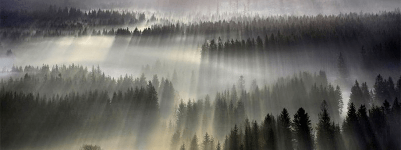 Все дело в экономике