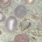 Экология плюс качество