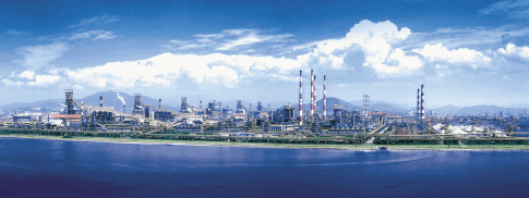 Posco составляет новые планы