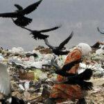 Мусору не хватает нужных бумаг