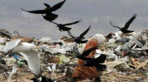 Мусору не хватает нужных бумаг