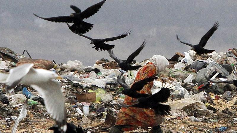 Мусору не хватает нужных бумаг