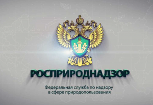 Суд решил взыскать с "Русала" 291 миллиона рублей за вред экологии в пользу Росприроднадзора