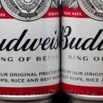 Budweiser Brewing Group, En+ Group, Canpack и Elval запустили пилотный проект по производству пивных банок из алюминия с самым низким «углеродным следом»