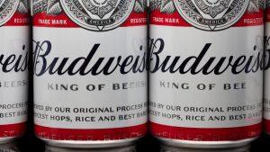 Budweiser Brewing Group, En+ Group, Canpack и Elval запустили пилотный проект по производству пивных банок из алюминия с самым низким «углеродным следом»