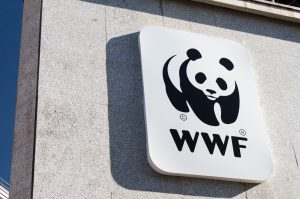 Металлоинвест подтвердил лидерские позиции в рейтинге экологической открытости WWF