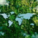 «Северсталь» подписала с Креди Агриколь КИБ Климатический Меморандум «Вместе к низкоуглеродному будущему»