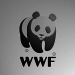 Экологические программы ПАО "ММК" получили высокую оценку экспертов WWF